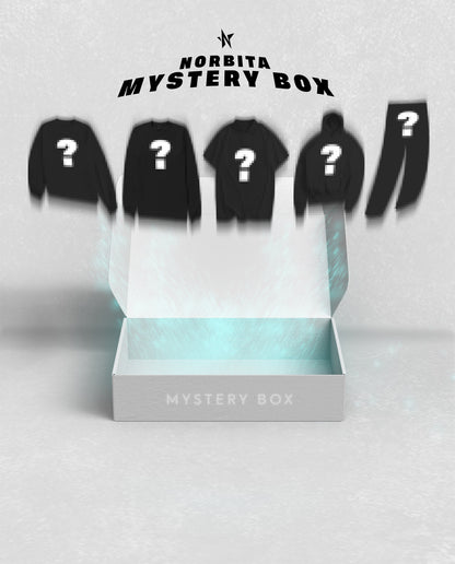 Mystery Box (3 a 6 PRENDAS) -NORBITA