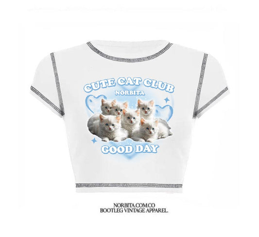 Norbita | Cat club Top